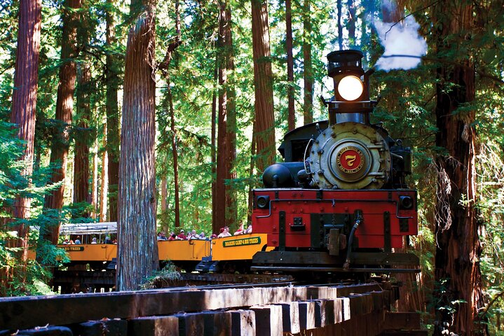 BEST Redwood Forest Steam Train  Santa Cruz Harbor Day Trip from San Francisco