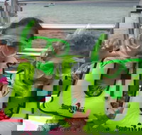 Catamaran Snorkel and Dolphin Watch Tour in Panama City Beach - Hotels Santiago