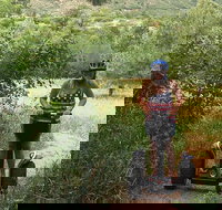 2 Hour Segway Tour in Cheyenne Caon and Broadmoor Area - Tourism Bookings