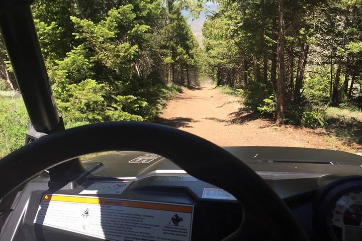 Offroad 4-Seat UTV Rental In Kremmling - thumb 0