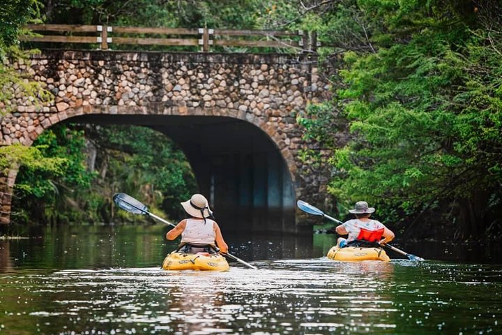 Wild & Scenic Loxahatchee River Guided Tour - thumb 0