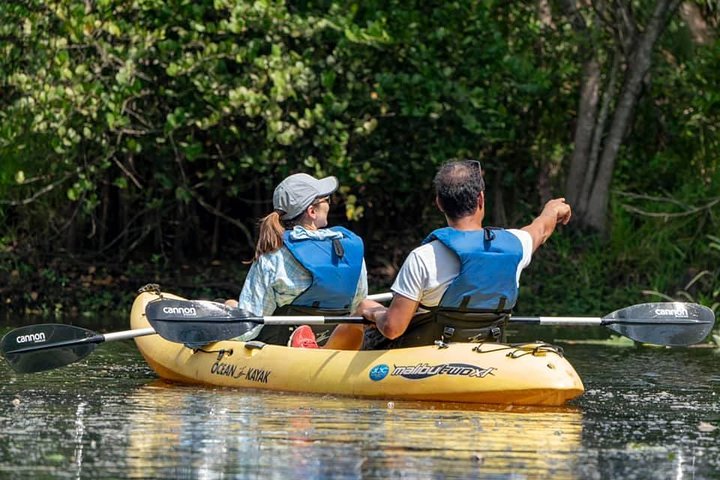 Wild & Scenic Loxahatchee River Guided Tour - thumb 4