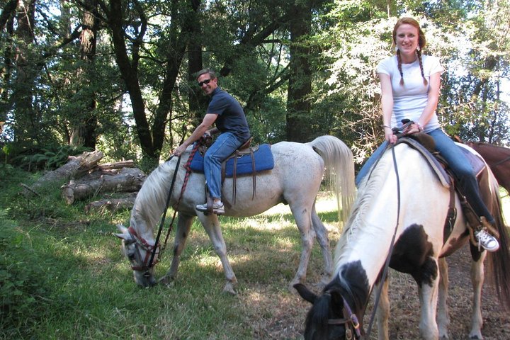 Private Horseback Riding And Muir Woods Adventure From San Francisco - thumb 1