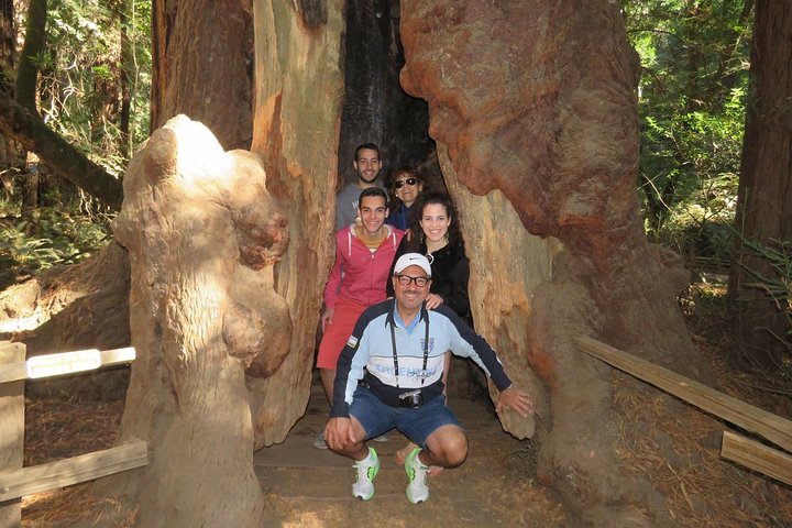 Private Horseback Riding And Muir Woods Adventure From San Francisco - thumb 5