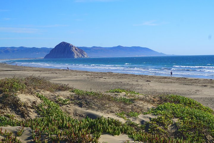 California Central Coast 3-Day Private Tour From San Francisco - thumb 4