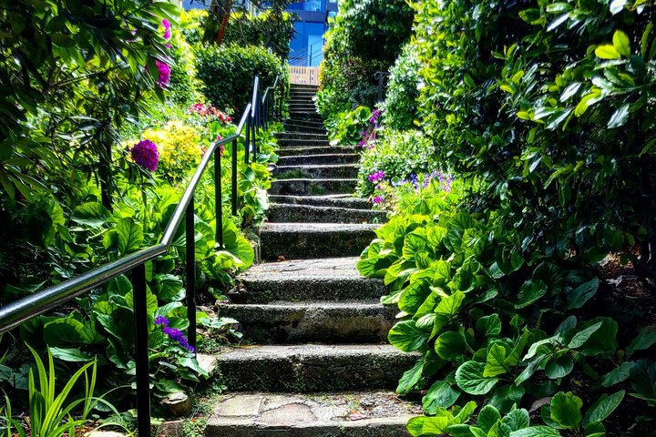 San Francisco Four Peaks Tour - thumb 5