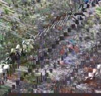 Combo Course Zipline Tour - Tourism Bookings