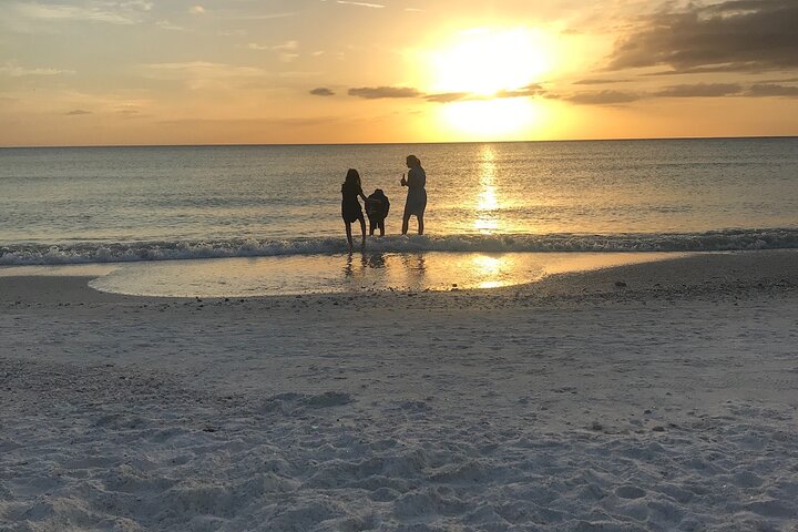 Half-Day Private Sarasota Charter Tour With Wildlife Watching - thumb 0