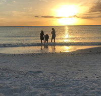 Half-Day Private Sarasota Charter Tour with Wildlife Watching - China Accommodation