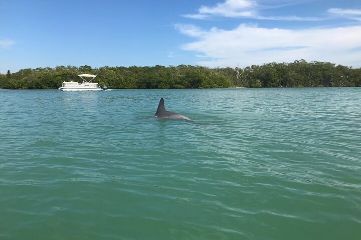 Half-Day Private Sarasota Charter Tour With Wildlife Watching - thumb 1