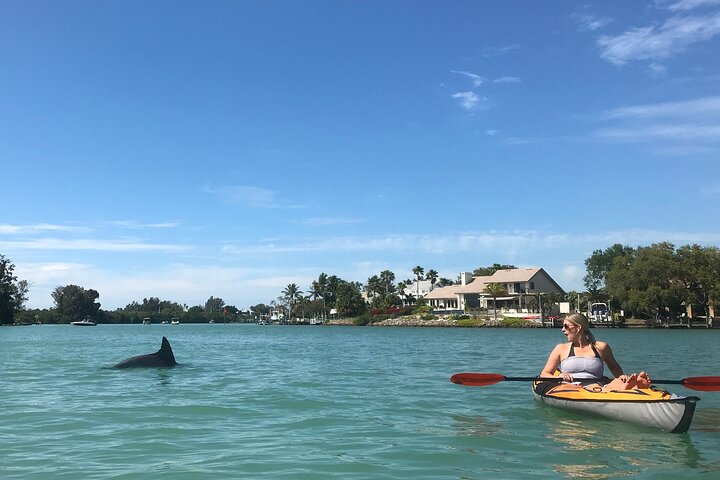 Half-Day Private Sarasota Charter Tour With Wildlife Watching - thumb 4