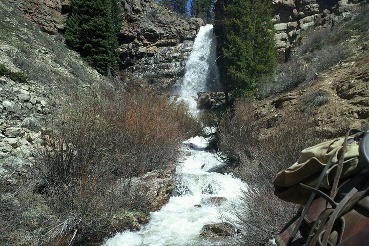 6 Hours Horse Ride - Cascade Creek Trail To The Waterfalls - thumb 5