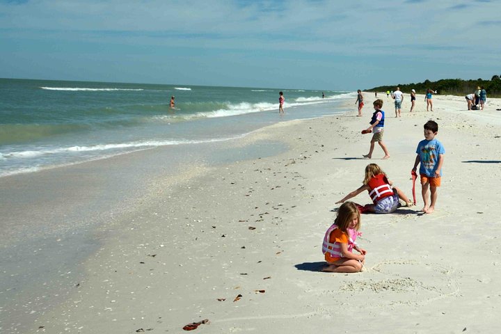 Eco Shelling Cruise To Keewaydin Island - thumb 1