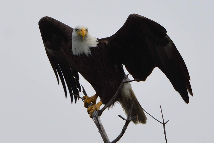 Eco Shelling Cruise To Keewaydin Island - thumb 2