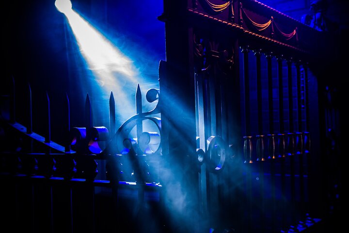 Holiday Spectacular At Mystic Dark Room - thumb 5