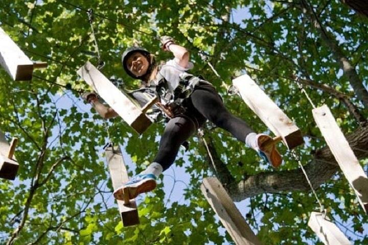 Fields Of Fire Adventure Park Admission Ticket - thumb 0