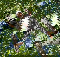 Fields of Fire Adventure Park Admission Ticket - Students Accommodation