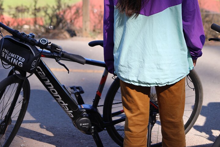 Golden Gate Park Electric Bike Rentals