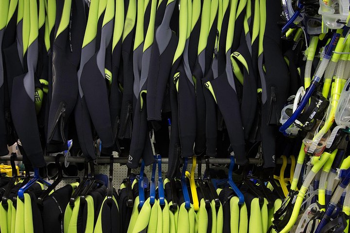 Small Group Manatee Tour With In-Water Divemaster/Photographer - thumb 3