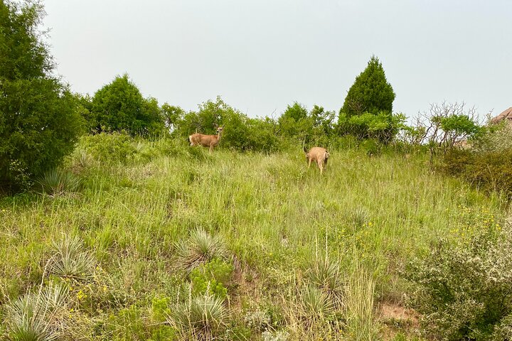 Private Boulder Tour From Denver - thumb 4