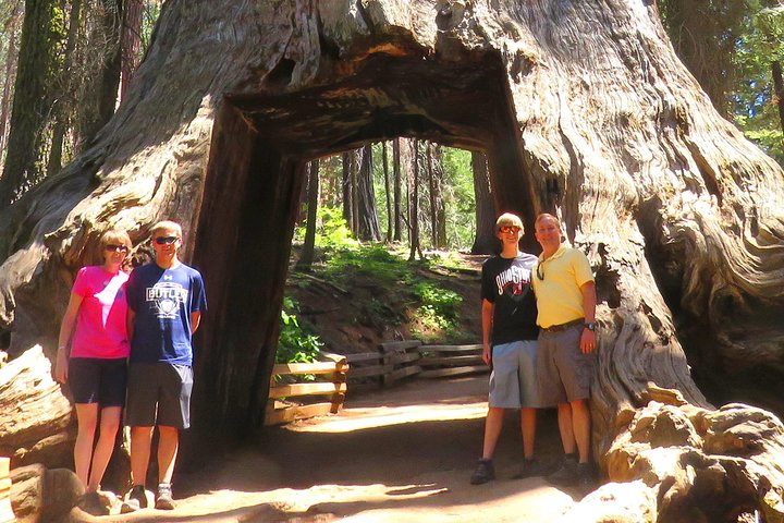 Best 1-Day Yosemite National Park Private Tour From San Francisco - thumb 3
