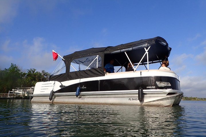 Small Group VIP Manatee Pontoon Tour - thumb 1