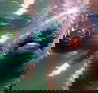 Private Manatee Tour - Students Accommodation