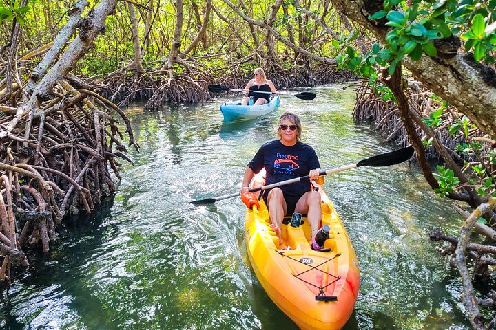 Kayak Tour Through Mangrove Tunnels - thumb 0