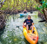 Kayak Tour through Mangrove Tunnels - China Accommodation