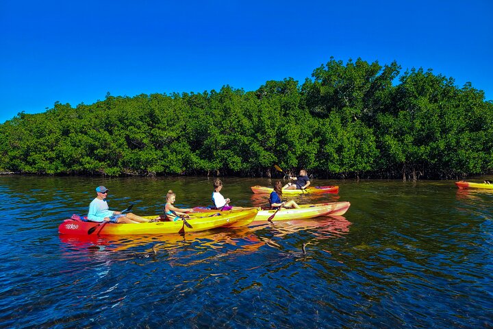 Kayak Tour Through Mangrove Tunnels - thumb 3