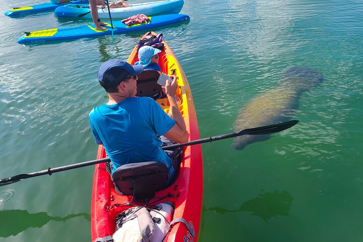 Kayak Tour Through Mangrove Tunnels - thumb 5