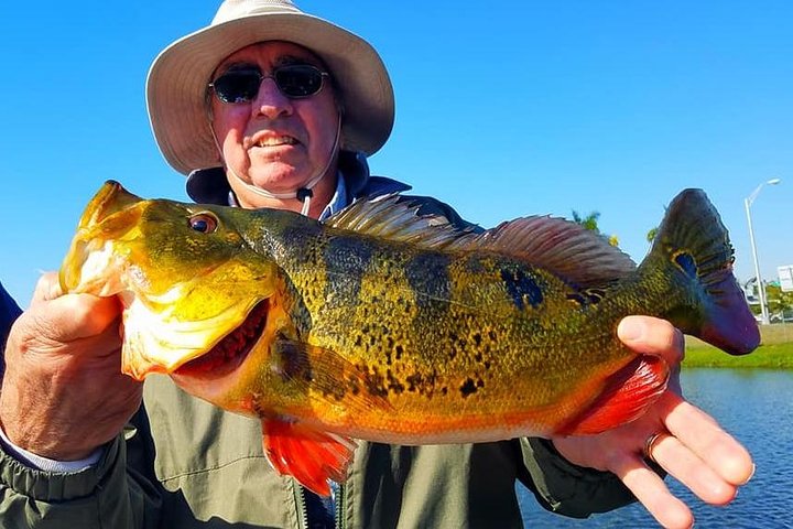 Peacock Bass Fishing Trip In Boynton Beach