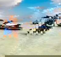 Crab Island 10 Passenger Pontoon Boat Rentals - Tourism Bookings