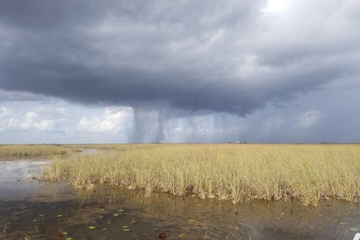 Private Airboat Rides Near Boca Raton/Deerfield Beach/Small Boat - thumb 1