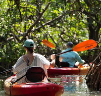 Sarasota Kayak and Food Tour - China Accommodation