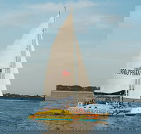 Dolphin Sightseeing Tour on The Footloose Catamaran from Panama City Beach - Hotels Santiago