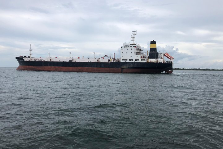 Dolphin Shelling Snorkeling Cruise In Tampa - thumb 2