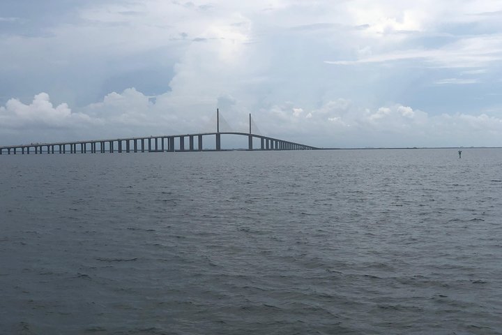 Dolphin Shelling Snorkeling Cruise In Tampa - thumb 5