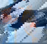 Inshore Fishing on the Waters of the Choctawhatchee Bay - Tourism Bookings