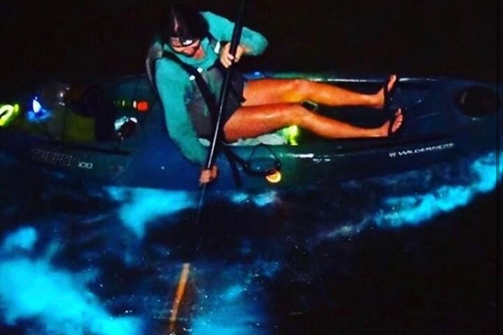 Thousand Islands Bioluminescent Kayak Tour With Cocoa Kayaking! - thumb 1