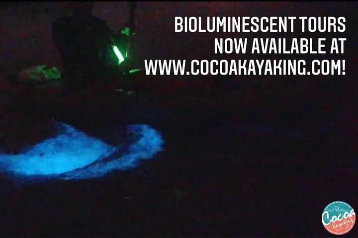 Thousand Islands Bioluminescent Kayak Tour With Cocoa Kayaking! - thumb 3