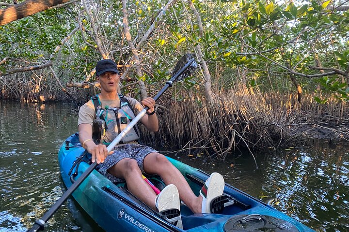 Thousand Island Mangrove Tunnel, Manatee & Dolphin Kayak Tour!