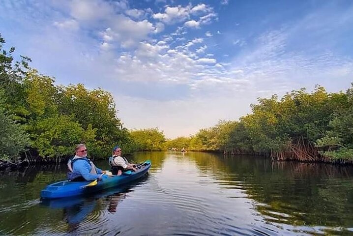 Thousand Islands Mangrove Tunnel And Bioluminescent Comb Jelly Sunset Kayak Tour - thumb 0