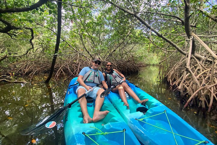 Thousand Islands Mangrove Tunnel And Bioluminescent Comb Jelly Sunset Kayak Tour - thumb 1