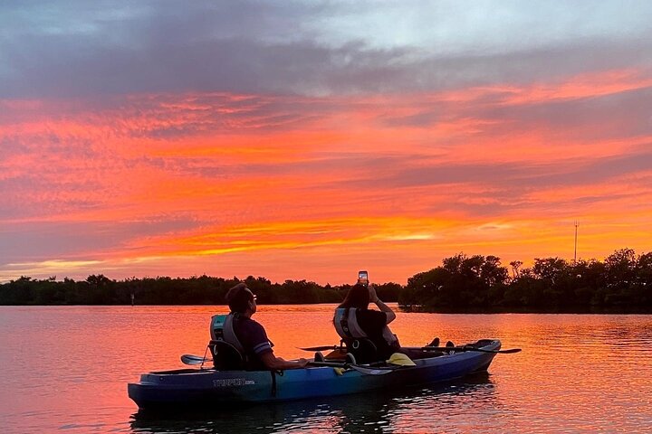 Thousand Islands Mangrove Tunnel And Bioluminescent Comb Jelly Sunset Kayak Tour - thumb 5