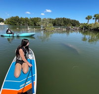 Wildlife Refuge Manatee Dolphin  Mangrove Kayak or Paddleboarding Tour - China Accommodation