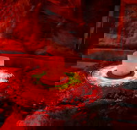 The Forbidden Tomb Escape Game - Hotels Santiago