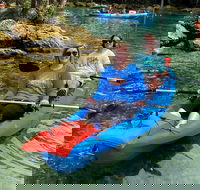 Full Day Tandem Kayak Rental For Two People In Crystal River Florida - Students Accommodation