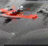 4 Hour Single Kayak Rental In Crystal River Florida - Students Accommodation