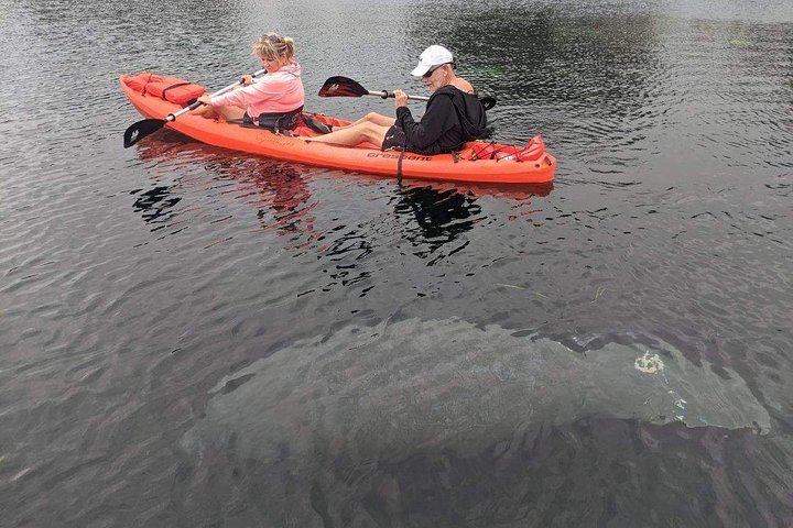 4 Hour Tandem Kayak Rental For Two People In Crystal River, Florida - thumb 1
